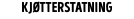 kjøtterstatning