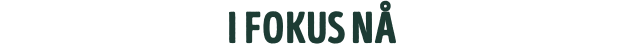 i fokus nå